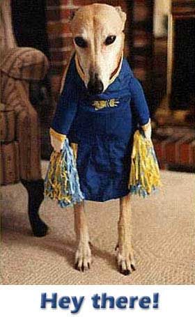 Click here to get hot comments and graphics...