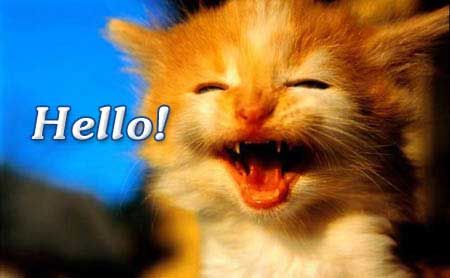 Click here to get hot comments and graphics...