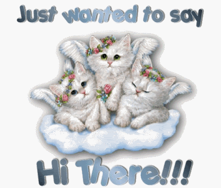 Click here to get hot comments and graphics...