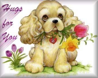 Click here to get hot comments and graphics...