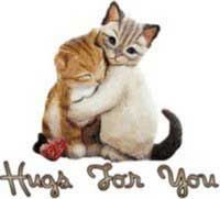 Click here to get hot comments and graphics...
