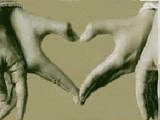 Click here to get hot comments and graphics...