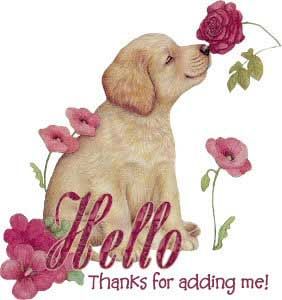Click here to get hot comments and graphics...
