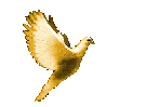 Animated Dove Flying