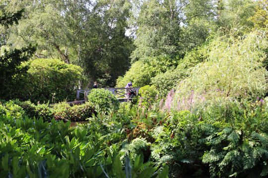 Scotney Castle