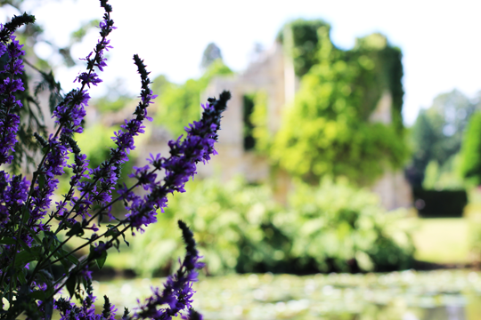 Scotney Castle