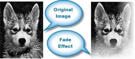 Fade Effect In Image