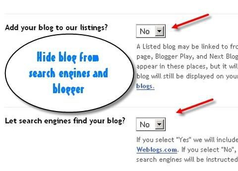 Hide Blog from search engine