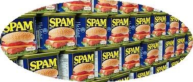 Twitter Spam