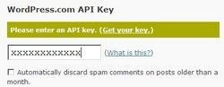 WordPress.com API key