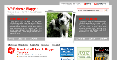 WP-Polaroid Blogger Template