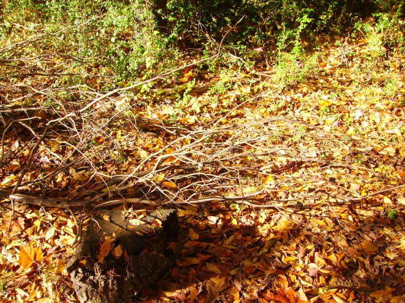 PICT0496.jpg
