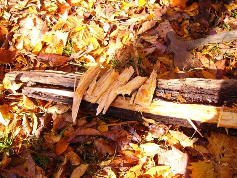 PICT0502.jpg