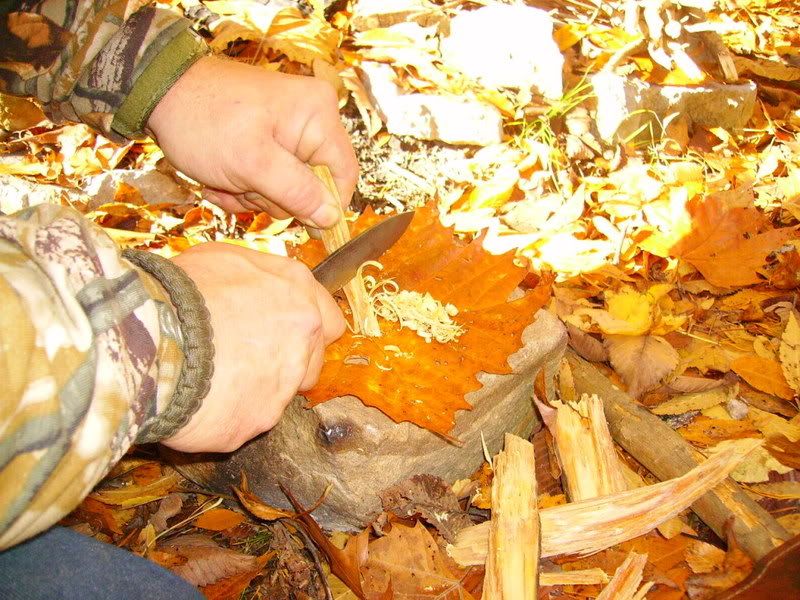 PICT0508.jpg