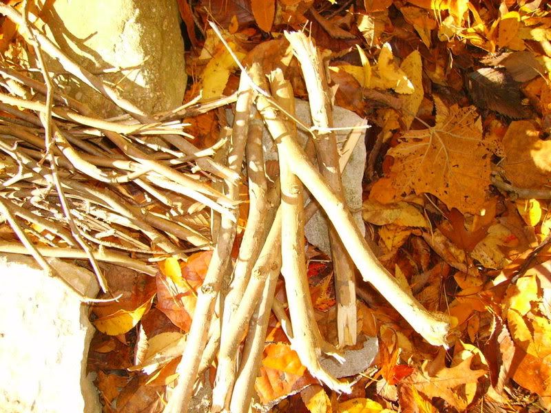 PICT0517.jpg
