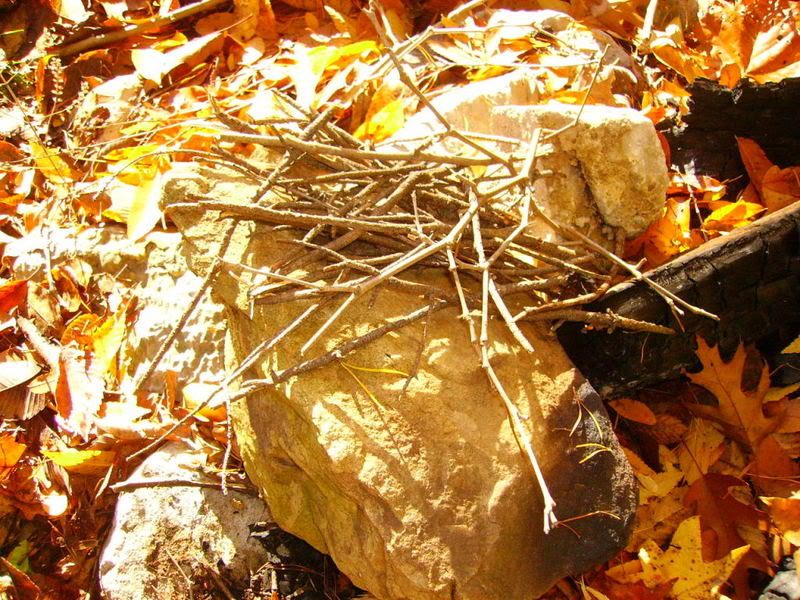 PICT0518.jpg