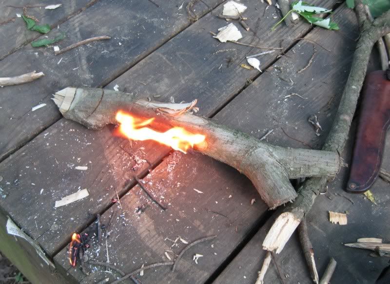 10Caughtfuzziesonlogonfire.jpg