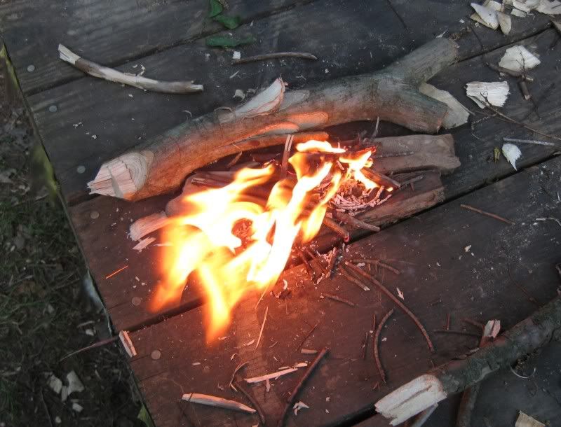 9Fire.jpg