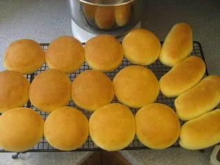 Hamburger &amp; hotdog buns Pictures, Images and Photos