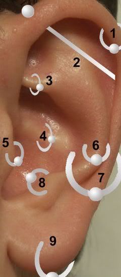 ear piercings: 1) Helix