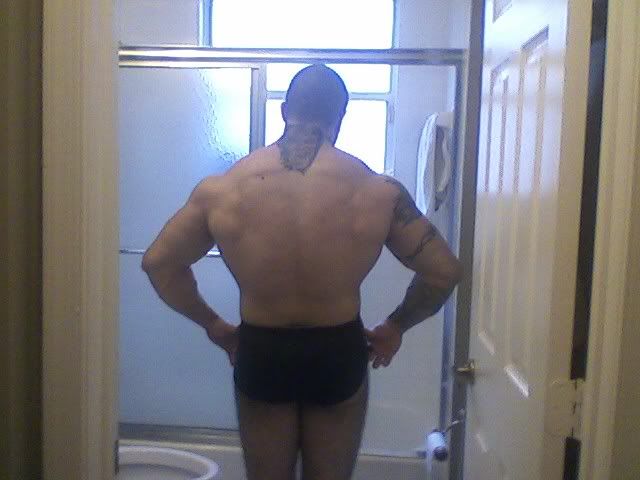 back5.jpg