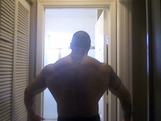 back6.jpg