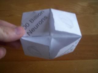 brain origami