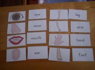 body parts flash cards for Ratchet and Halo