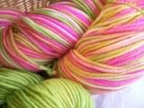 Apple Orchard 5.7 base 1.6 trim Montana Merino Wool Yarn