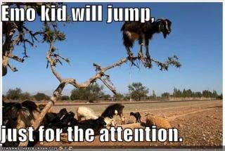 funny-pictures-emo-goat-in-tree.jpg Emo Goat image by sorrowh8