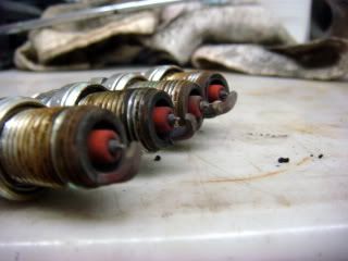 勤保養才是養車之道24229||小老婆汽機車資訊網