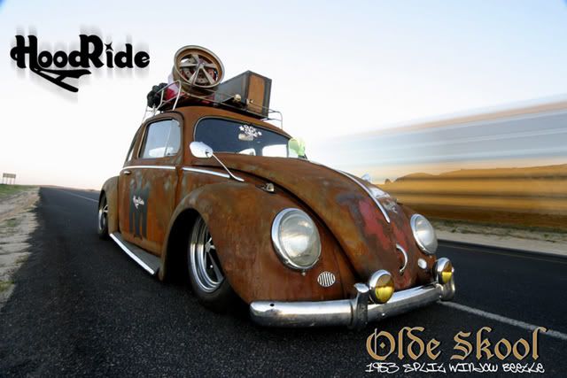 Hood ride Beetle 