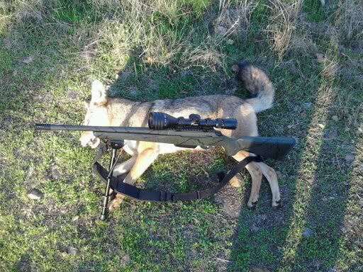 hunting064.jpg
