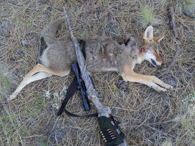 hunting359.jpg