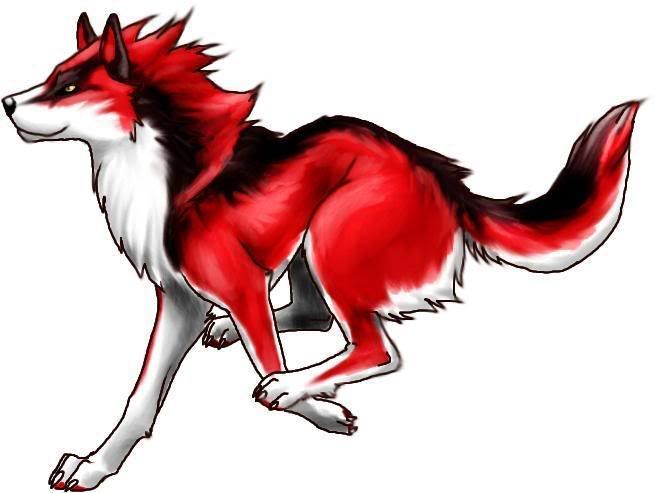 anime wolf child. Anime Wolf Pictures, Images