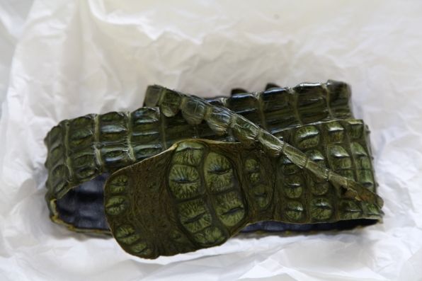 Crocodile belt from South Africa