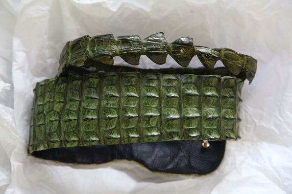Crocodile leather belt from South Africa