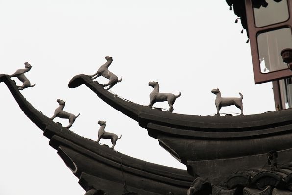dog detail in Shanghai, China