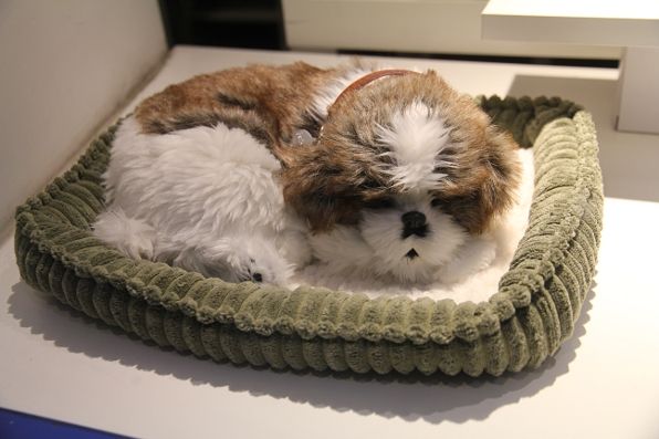 Stuffed puppy sleeping