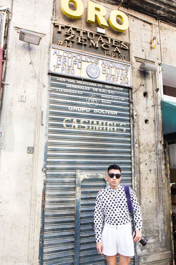 Bryanboy x Adrienne Landau purple mink fur camera strap