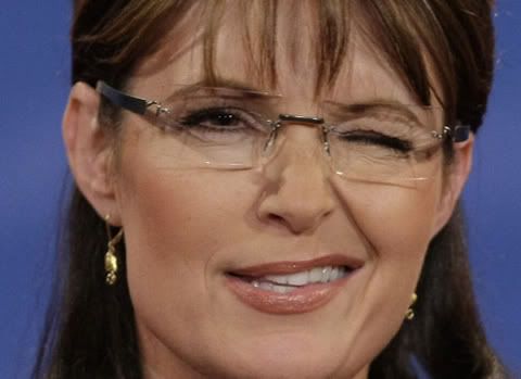  Fashioned  Names on Why Are They Afraid Of Sarah Palin