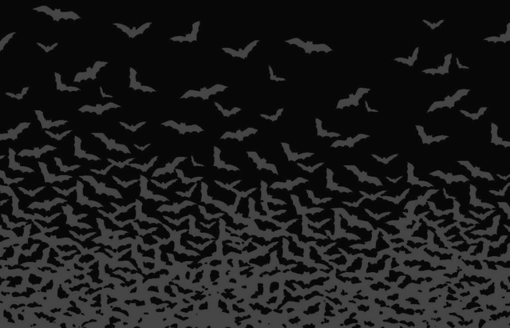 black backgrounds wallpaper. gray bats on black background Wallpaper