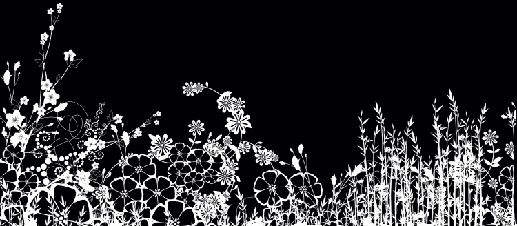 black and white floral wallpaper. Black And White Wallpaper