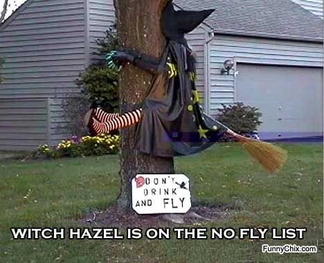 funny-pictures-halloween-witch.jpg