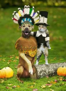 funny thanksgiving Pictures, Images and Photos