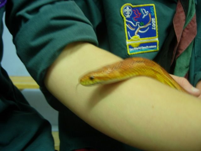  photo Snakes0620.jpg