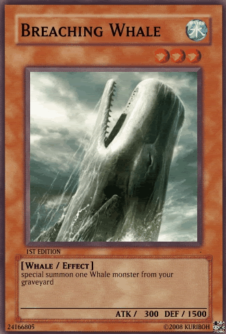 BreachingWhale-1.gif