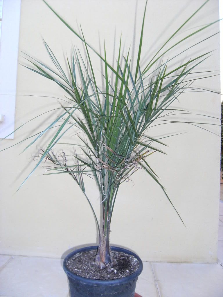 xx200608xx100.jpg