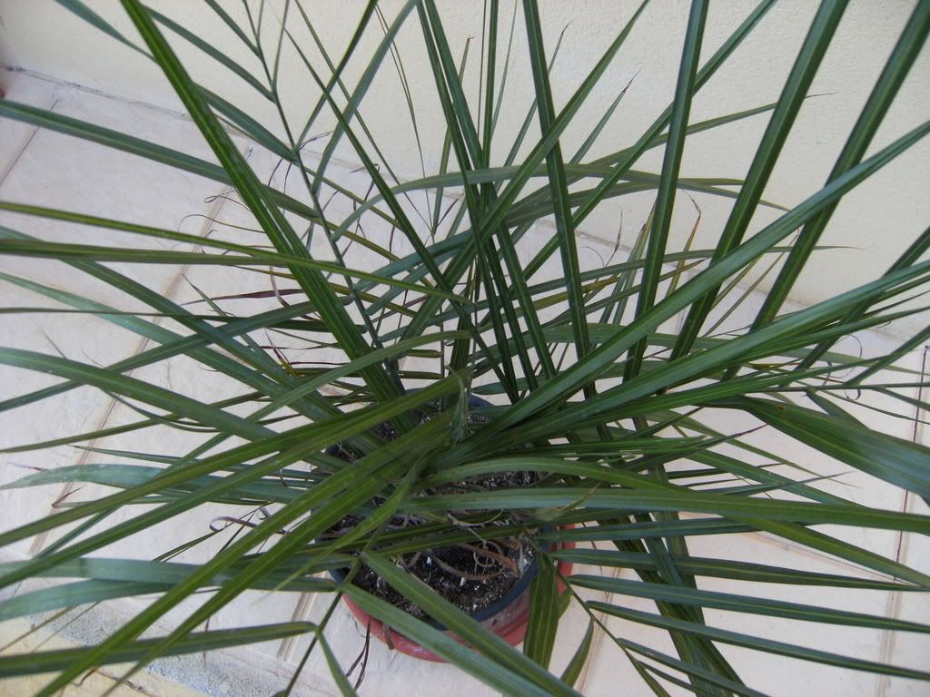 xx200608xx103.jpg