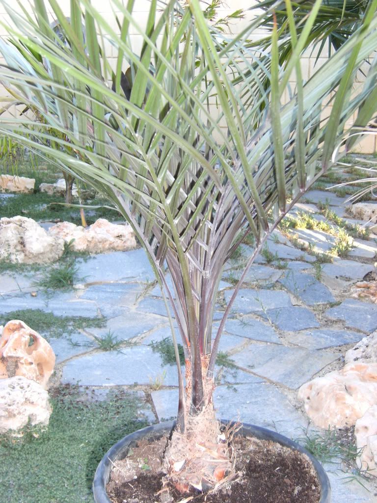 xx200608xx105.jpg